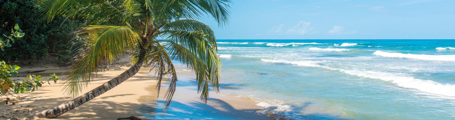 Puerto Limon